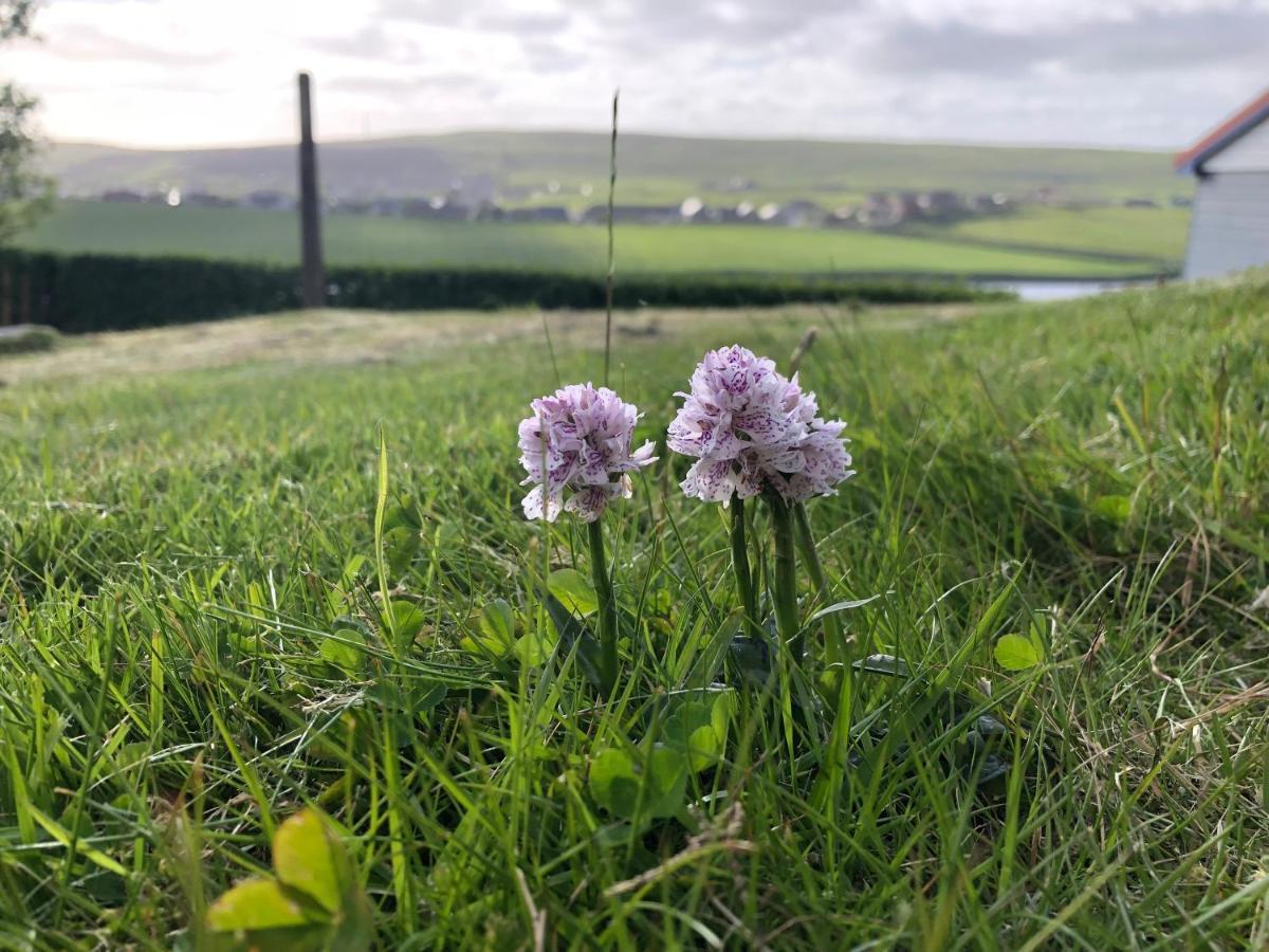 Easterhoull Chalets Scalloway Kültér fotó